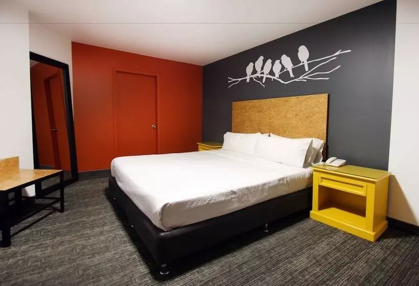 Fotos del hotel B My Hotel:  16