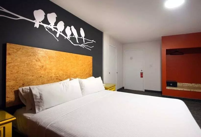 Fotos del hotel B My Hotel:  22