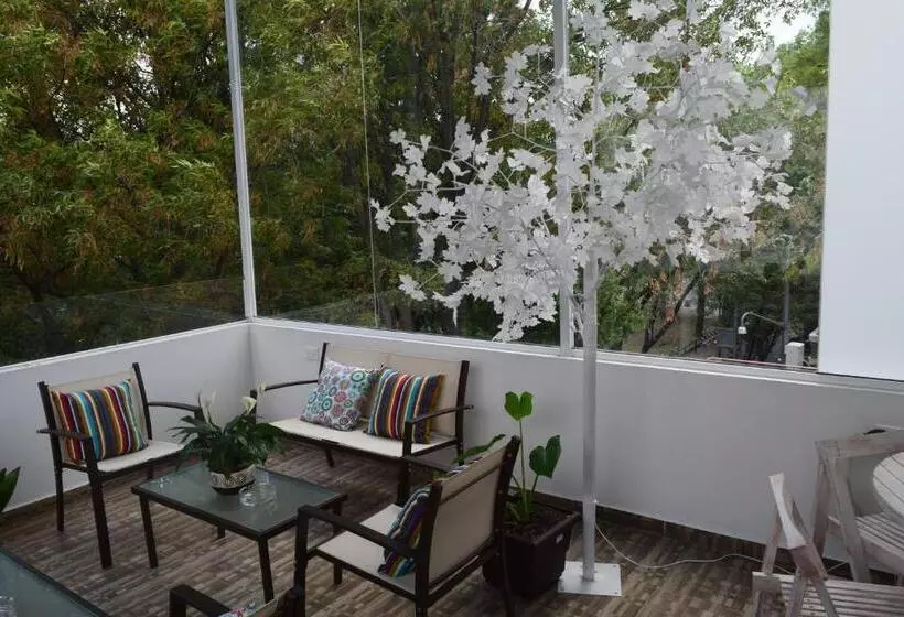 Fotos del hotel Condesa 185:  24