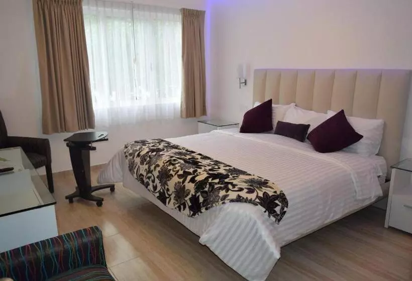 Fotos del hotel Condesa 185:  15