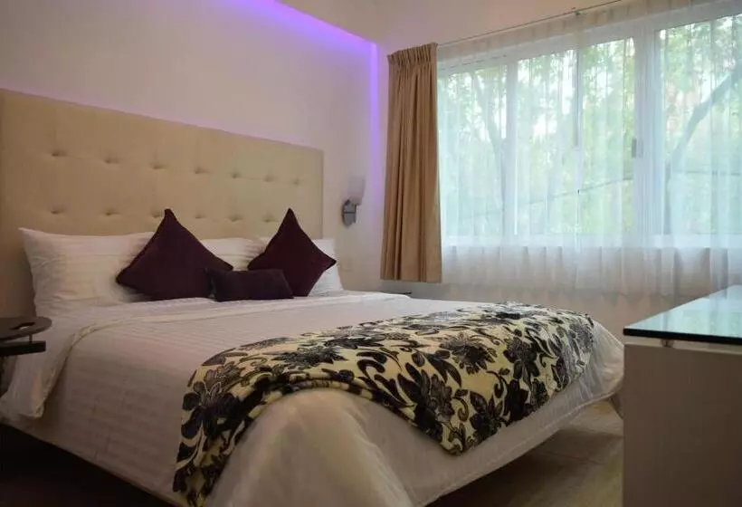 Fotos del hotel Condesa 185:  19