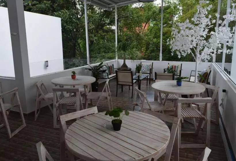 Fotos del hotel Condesa 185:  18