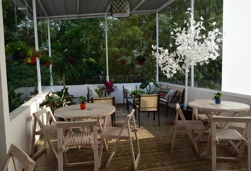 Fotos del hotel Condesa 185:  3