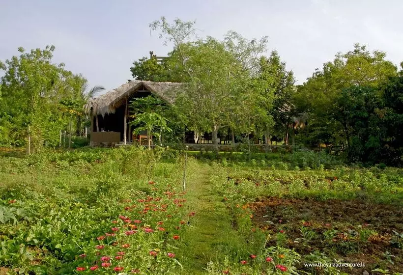 Fotos del hotel The Yala Adventure:  5