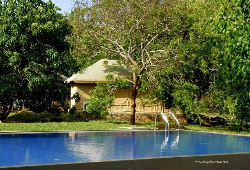 The Yala Adventure