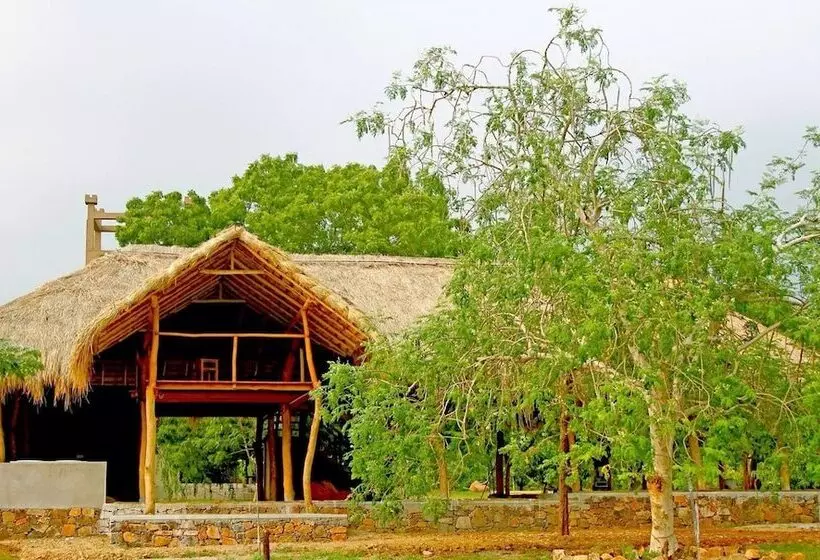 Fotos del hotel The Yala Adventure:  20