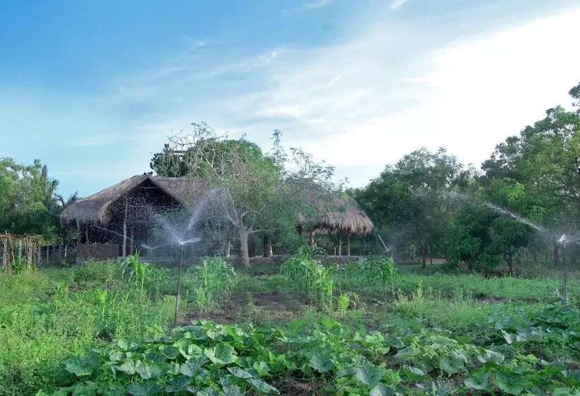 Fotos del hotel The Yala Adventure:  19