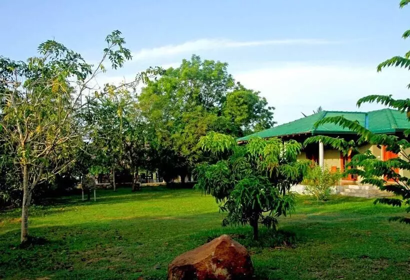 Fotos del hotel The Yala Adventure:  16