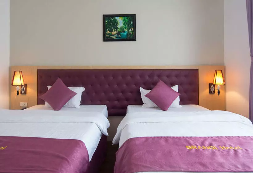 Fotos del hotel Brandi Hanoi:  10