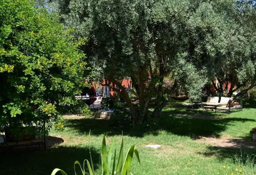 Fotos del hotel Le Relais De Marrakech:  8