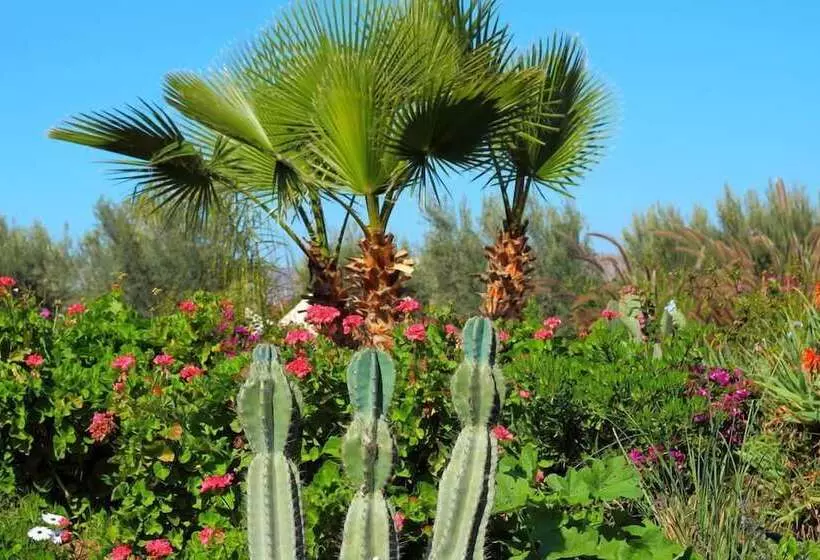 Fotos del hotel Le Relais De Marrakech:  20