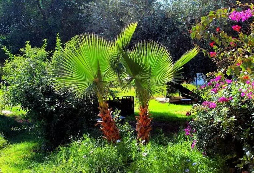 Fotos del hotel Le Relais De Marrakech:  13