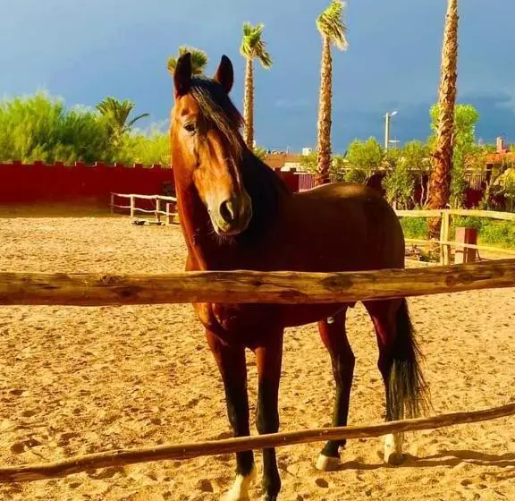 Fotos del hotel Le Relais De Marrakech:  25