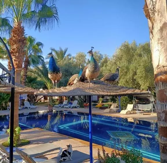 Fotos del hotel Le Relais De Marrakech:  15