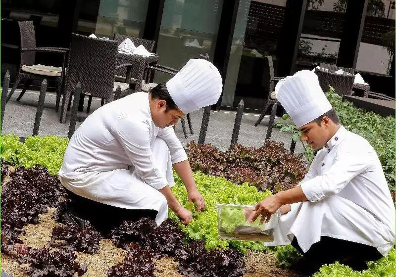 Fotos del hotel Pullman New Delhi International Airport:  16