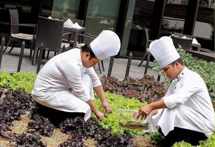 Fotos del hotel Pullman New Delhi International Airport:  22