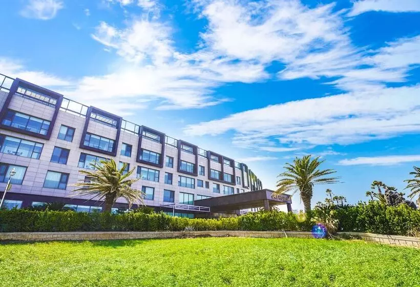 Fotos del hotel Uni  Jeju:  5