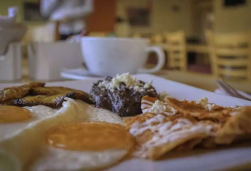 Fotos del hotel Vista Inn Premium:  16