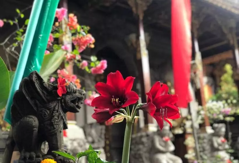 Fotos del hotel Loka House:  8