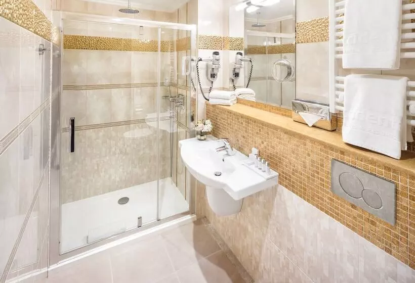 Fotos del hotel Occidental Praha Wilson:  17