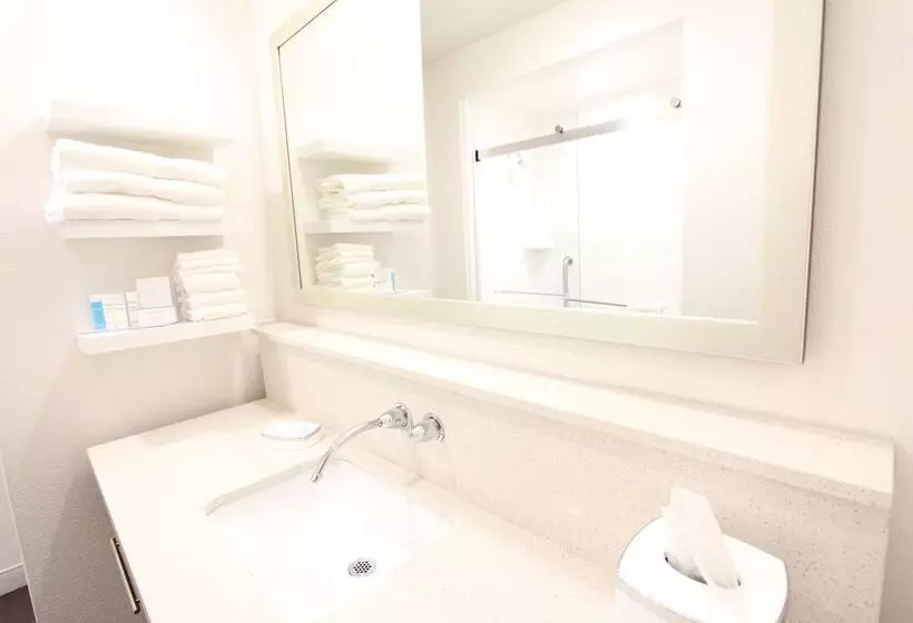 Fotos del hotel Hampton Inn & Suites Dallas Market Center:  8