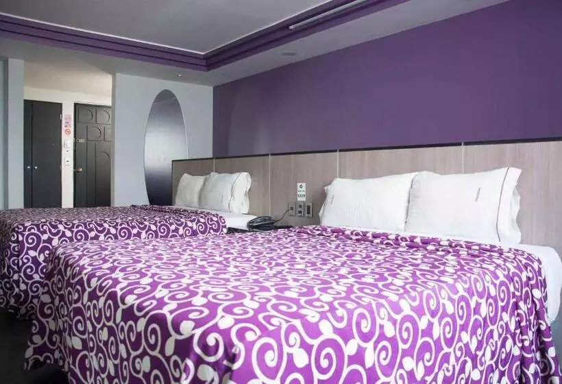 Fotos del hotel Maxintimo:  20