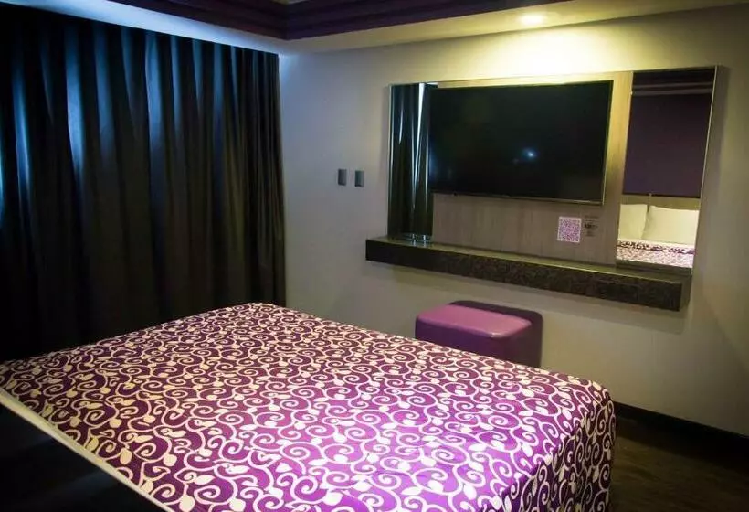 Fotos del hotel Maxintimo:  14