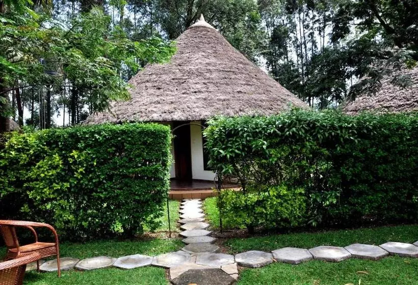 Fotos del hotel Olive Gardens Hotel Kampala:  20