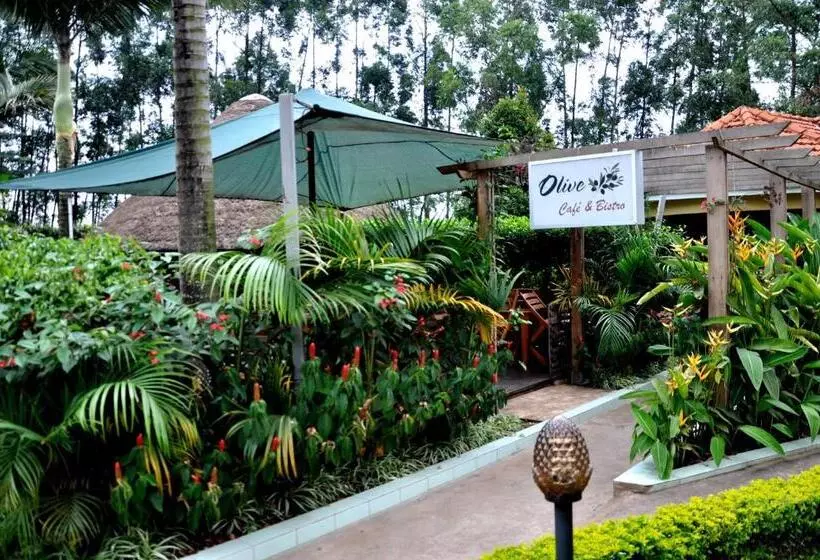 Fotos del hotel Olive Gardens Hotel Kampala:  22