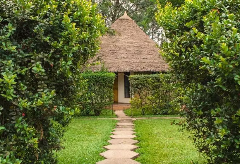 Fotos del hotel Olive Gardens Hotel Kampala:  19