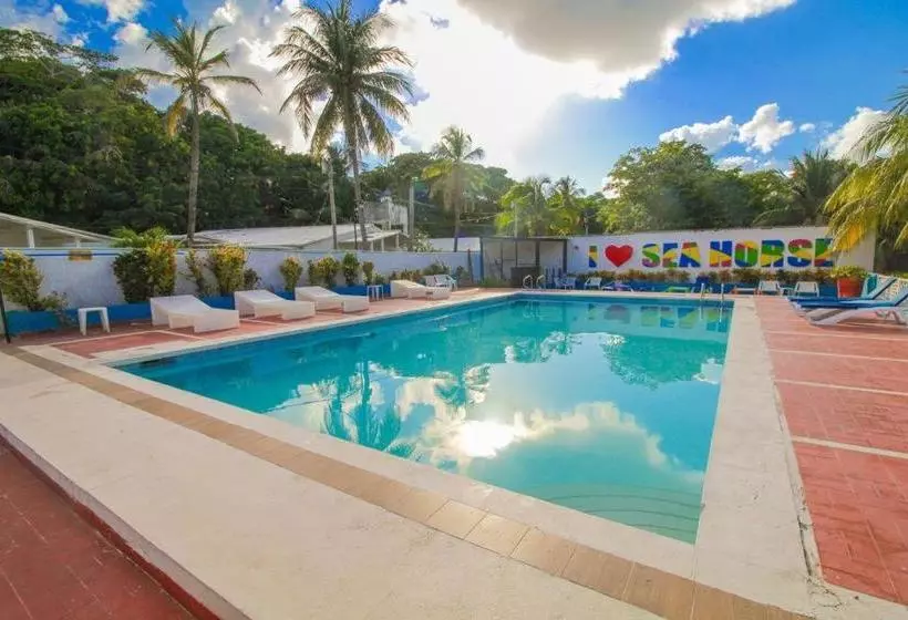 On Vacation Sea Horse