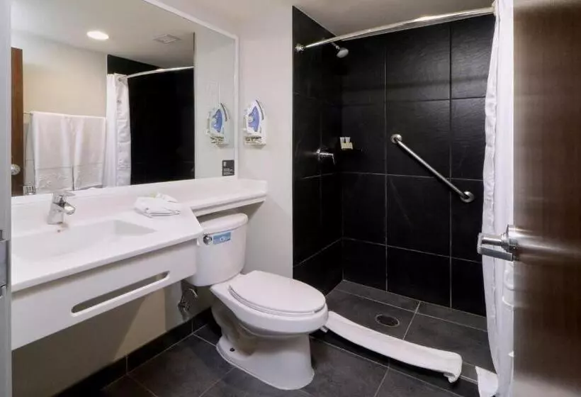 Fotos del hotel City Express Plus Monterrey Galerías:  8