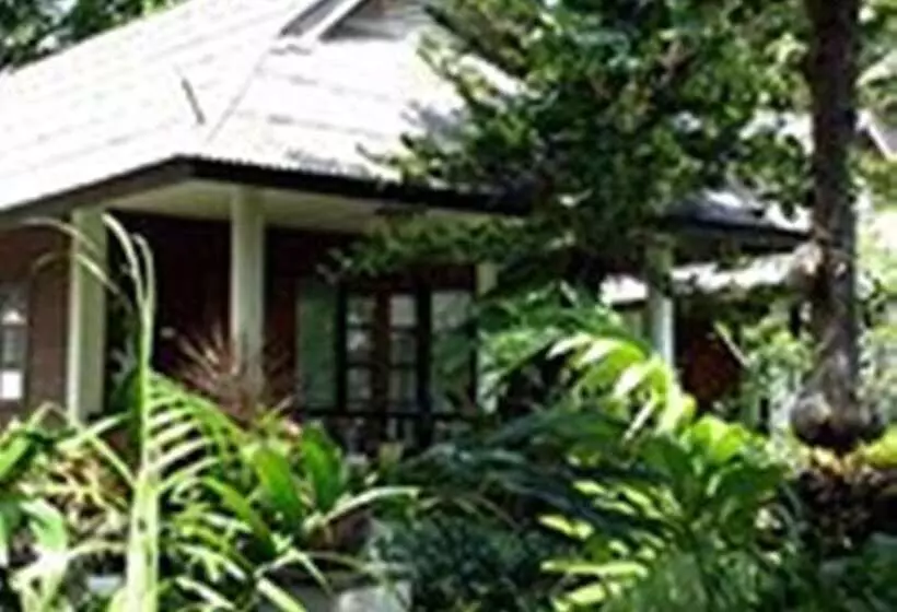 Fotos del hotel Rin Beach Resort:  6