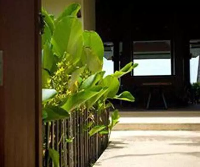 Fotos del hotel Rin Beach Resort:  13