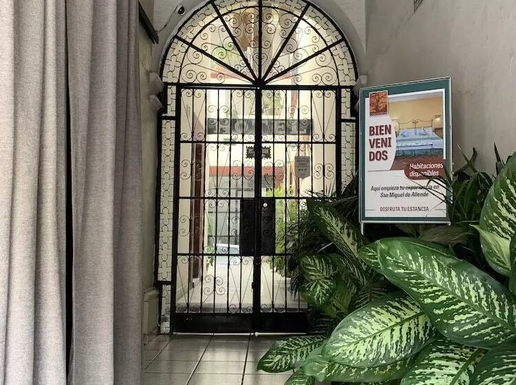 Fotos del hotel Casa Morena:  20