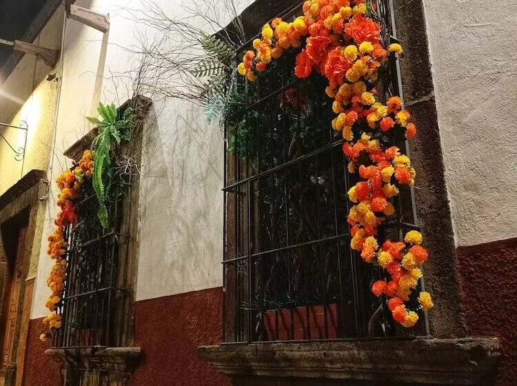 Fotos del hotel Casa Morena:  7