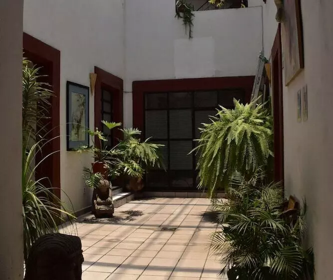 Fotos del hotel Casa Morena:  15