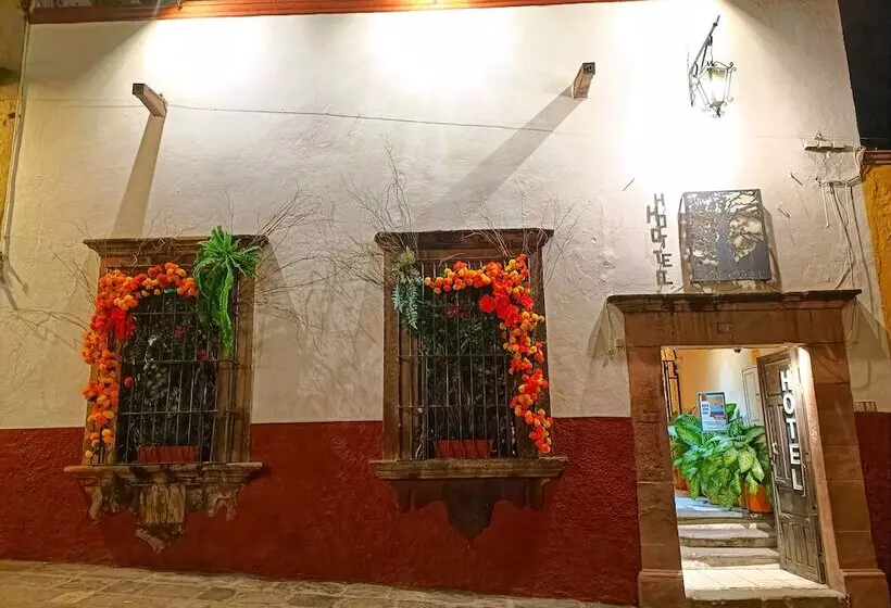 Fotos del hotel Casa Morena:  4