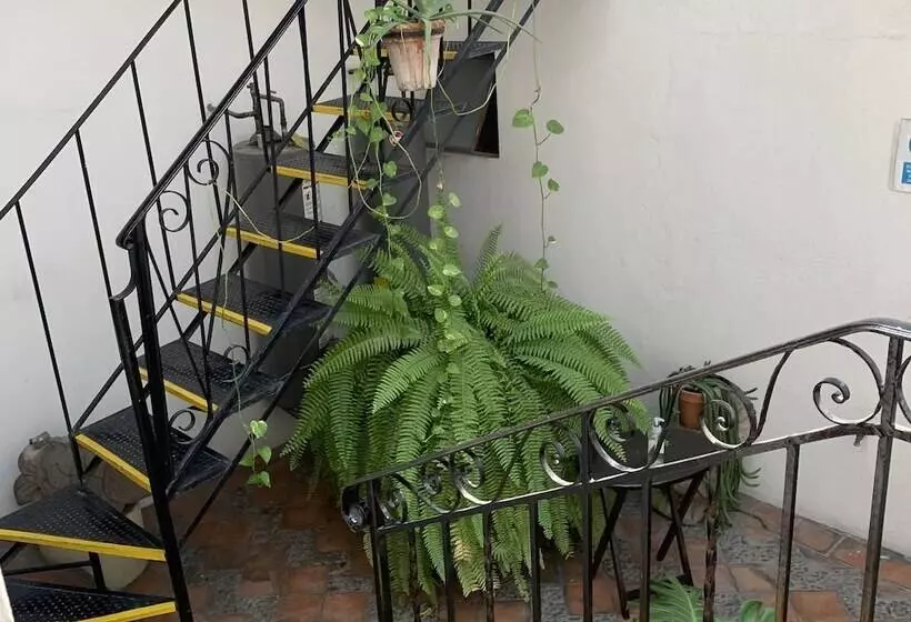 Fotos del hotel Casa Morena:  2