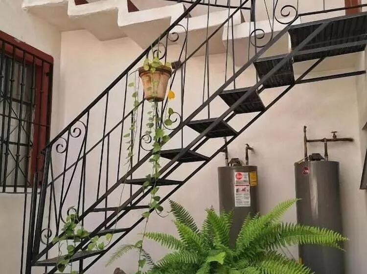 Fotos del hotel Casa Morena:  11