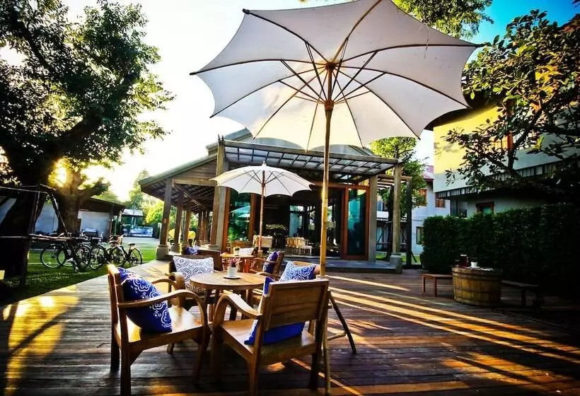 Fotos del hotel Chu:  4