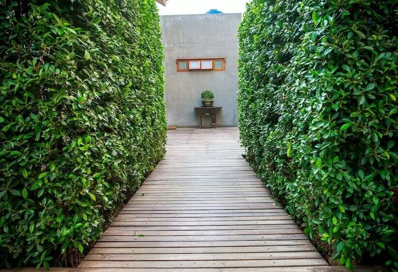 Fotos del hotel Chu:  10