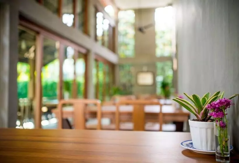 Fotos del hotel Chu:  1