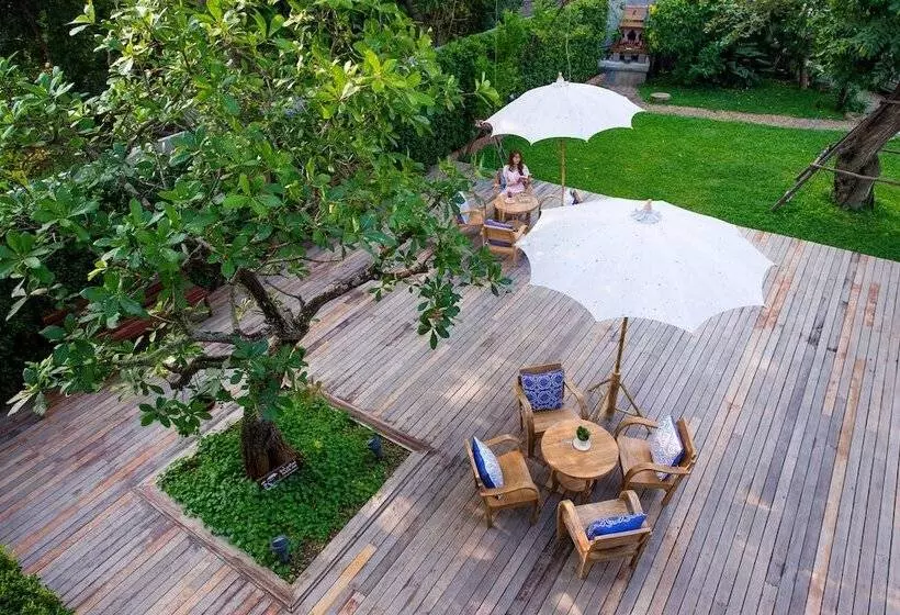 Fotos del hotel Chu:  15