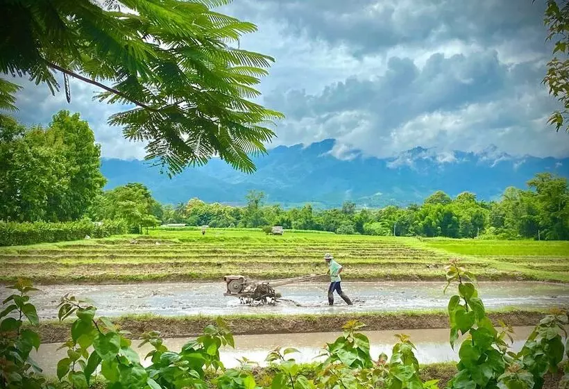 Fotos del hotel Kirina Wellness In The Valley:  15