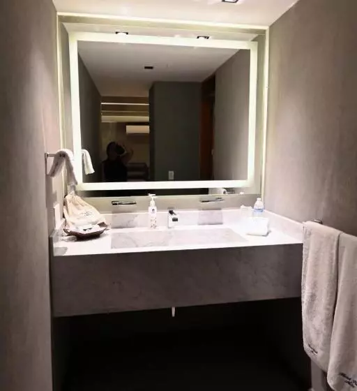 Fotos del hotel Park Nilo Reforma:  5