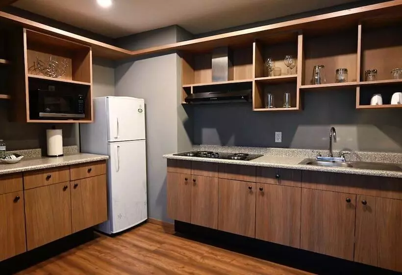 Fotos del hotel Park Nilo Reforma:  4