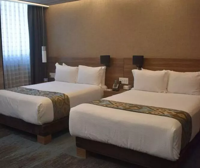 Fotos del hotel Park Nilo Reforma:  10