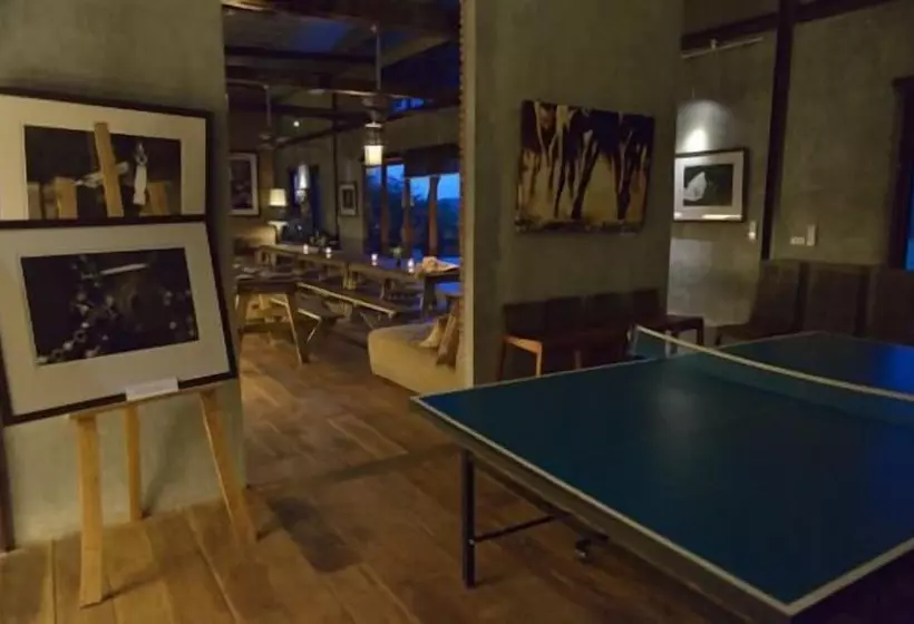 Fotos del hotel Polo Escape:  25