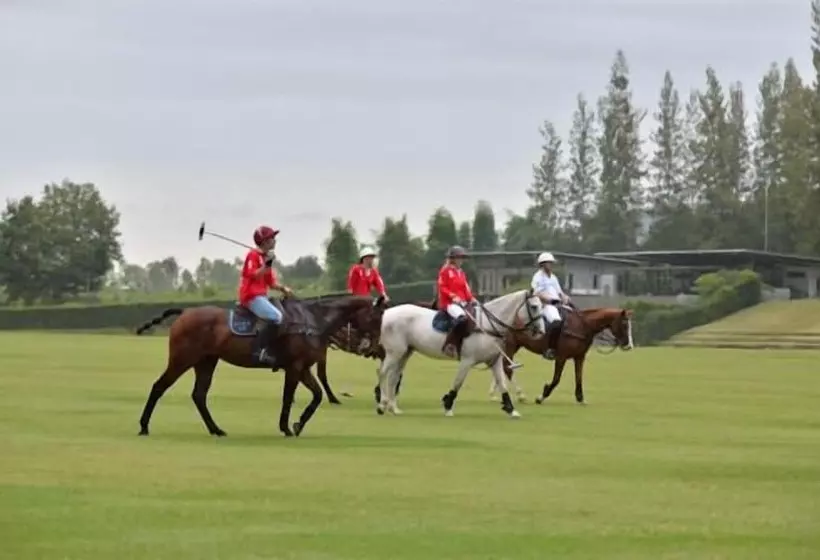 Fotos del hotel Polo Escape:  24